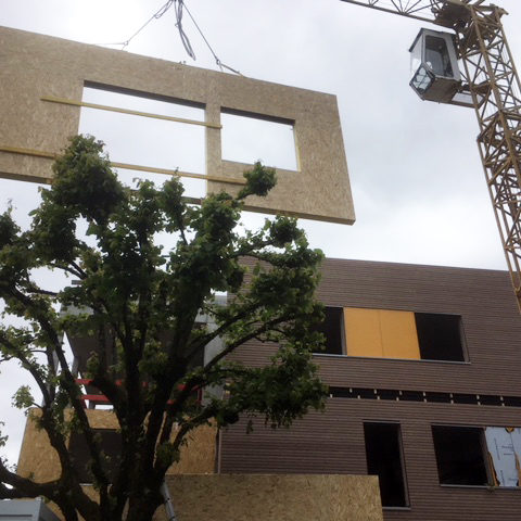 La Prédelle - Pose des Murs Ossature Bois