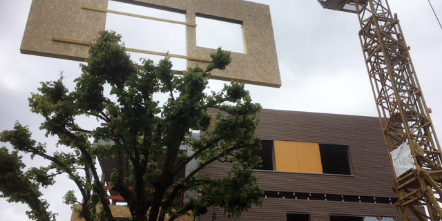 La Prédelle - Pose des Murs Ossature Bois